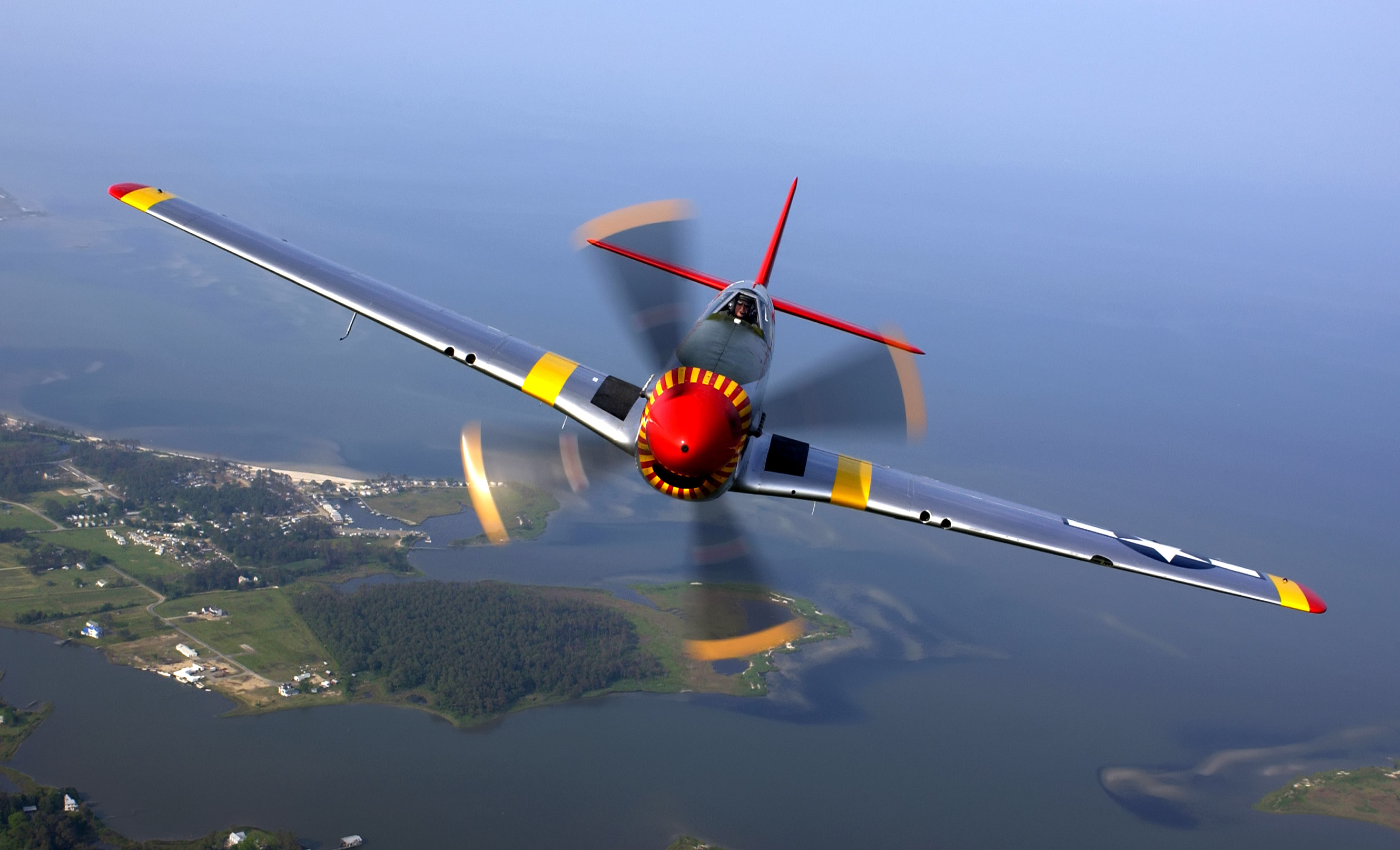 North American Mustang