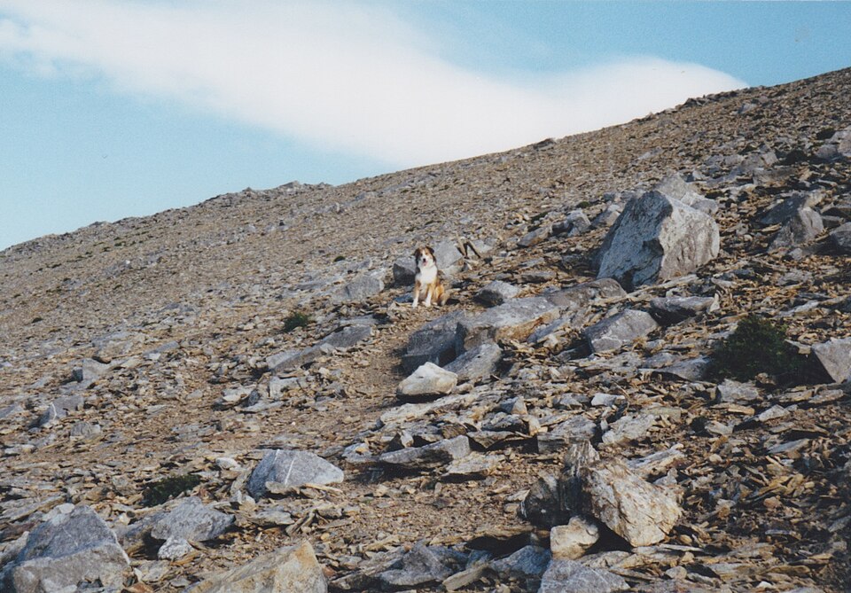 Close to the point of impact of the Bristol Blenheim V6099 on Elidir Fawr - geograph.org.uk - 6744572