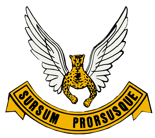No. 2 Squadron badge